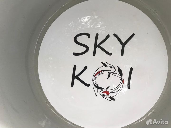 Малек рыба карп кои