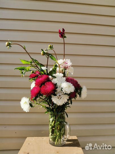 Живые цветы букеты