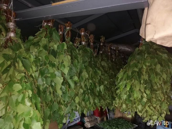 Березовые веники