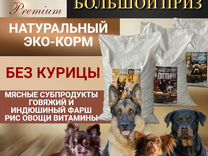 Корм для собак с доставкой в г. Кисловодск