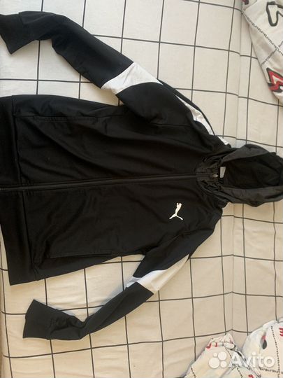 Ветровка puma