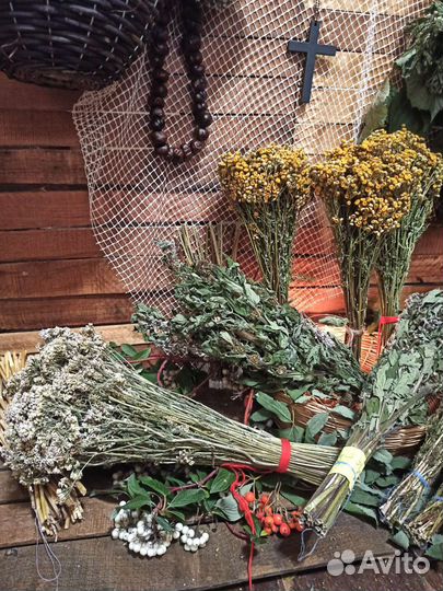 Сушеные травы Пижма, пустырник, ромашка