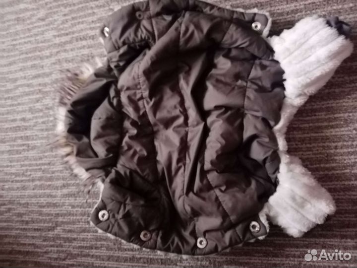 Одежда для собак