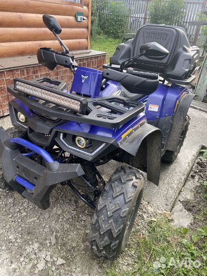 Avantis hunter 200 new premium