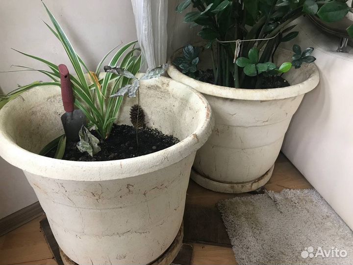 Огромный каменный горшок для растений