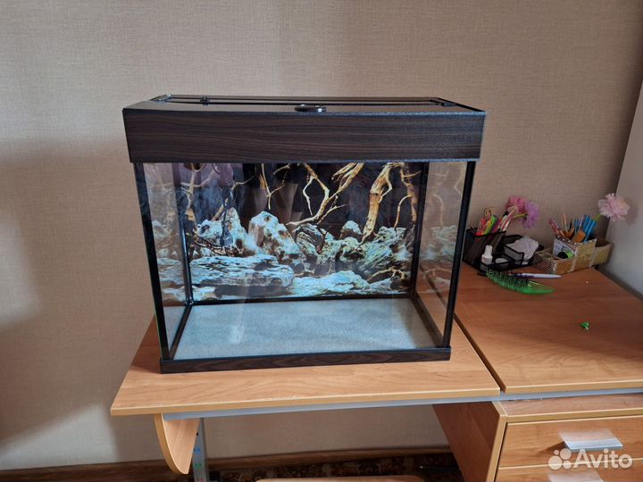 Аквариум новый