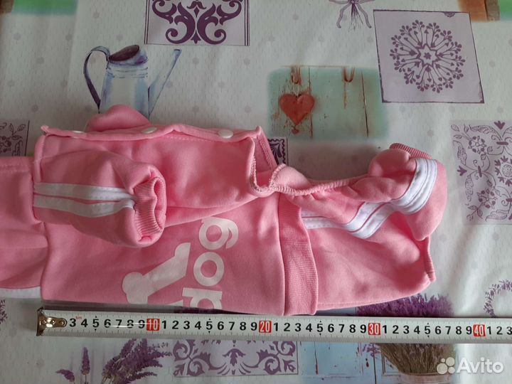 Одежда для животных