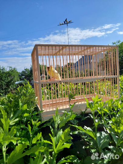 Клетка для канареек