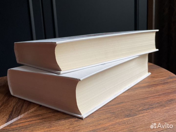 Максим Кантор. Учебник рисования, 2 тт