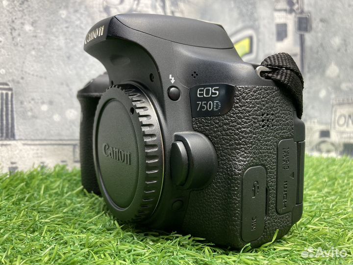 Canon EOS 750D (97.800 кадров)