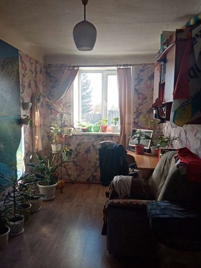 3-к. квартира, 50 м², 1/2 эт.