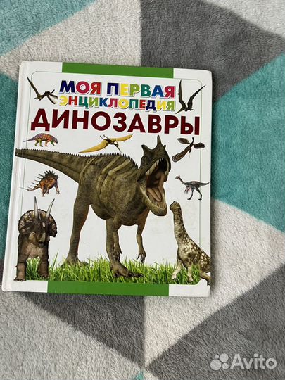 Детские книги Мейзи, внеклассное чтение,Чуковский