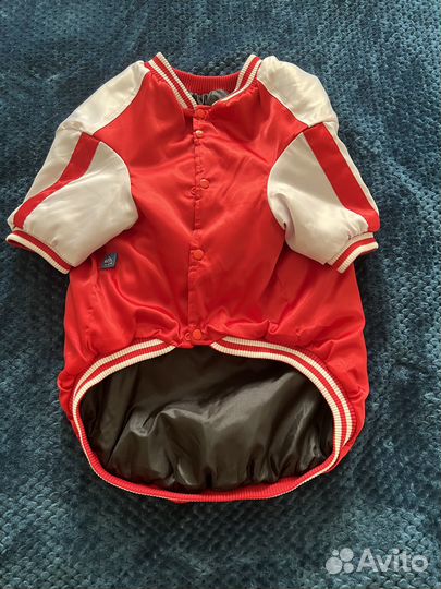 Одежда для собаки