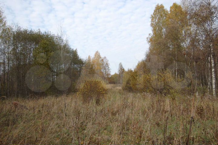 Участок 4,68 га (СНТ, ДНП)