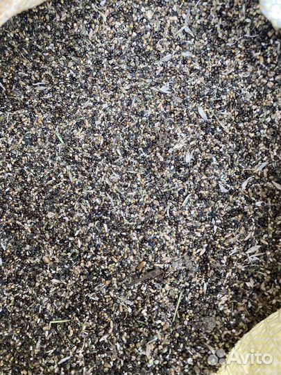 Зерноотходы для птиц с доставкой