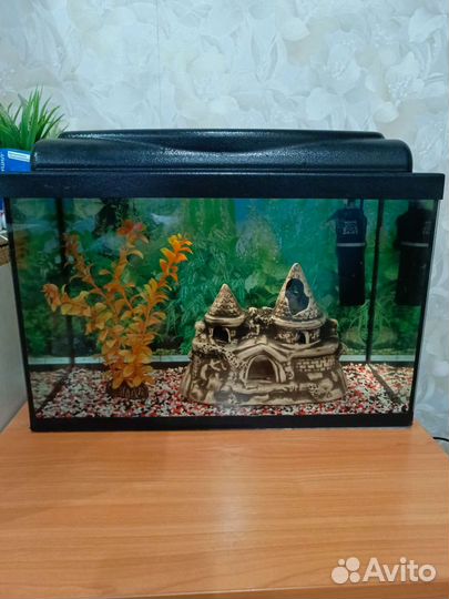 Аквариум 40 л