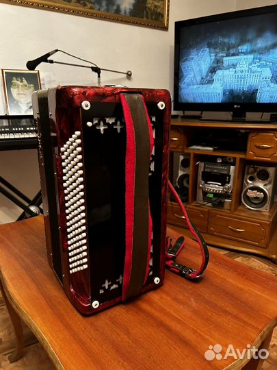 Баян тула 302