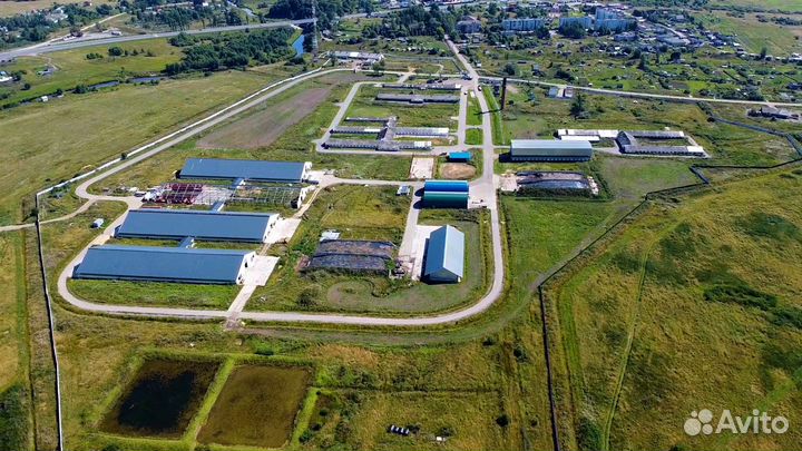 Продам молочно-товарную ферму на 1200 голов скота