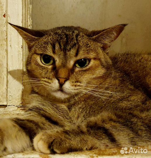 Вы когда-нибудь ждали кого очень очень долго.Мэгги