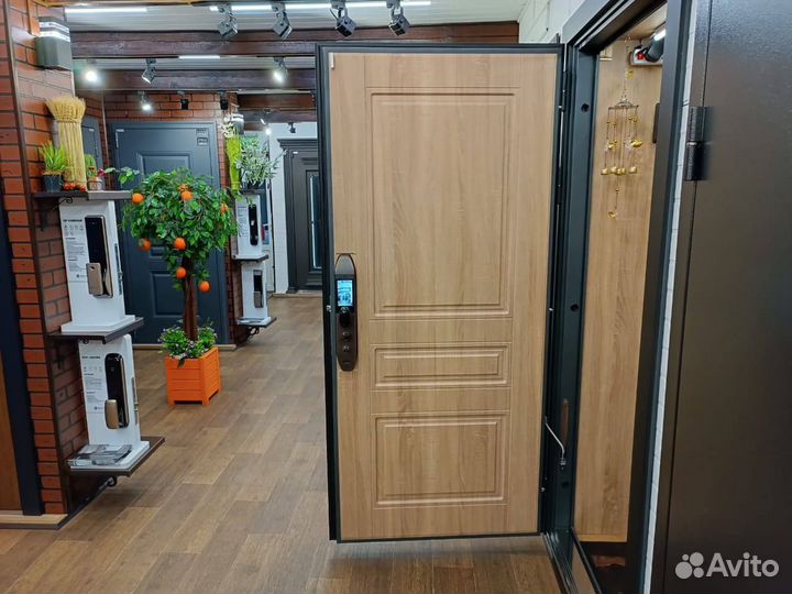 Даерь входная с биометрическим замком