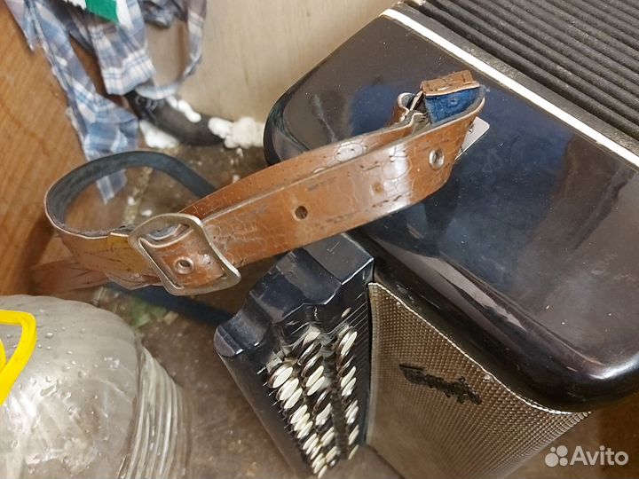 Баян беларусь