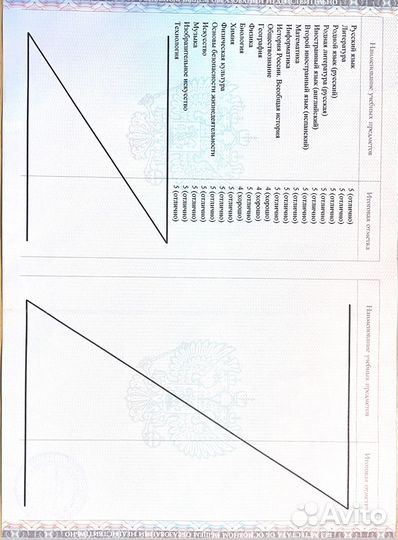 Репетитор мат/инф/англ/хим