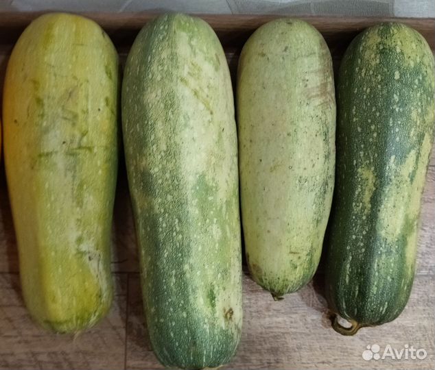 Кабачки
