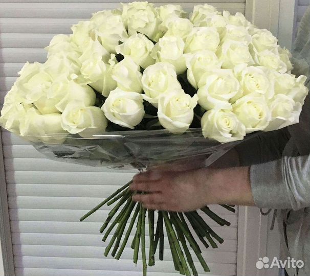 Высокие Розы Гиганты Доставка Круглосуточно