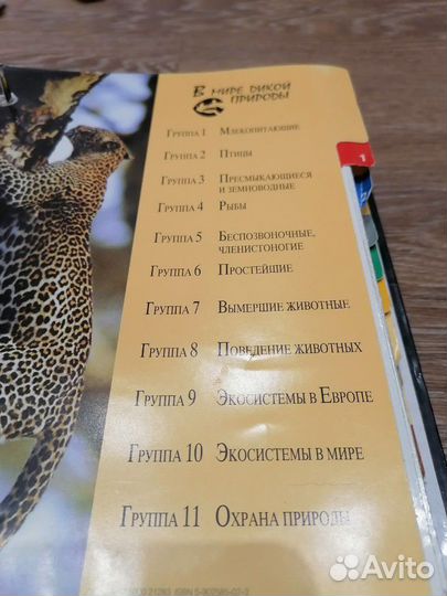 Справочник-энциклопедия 