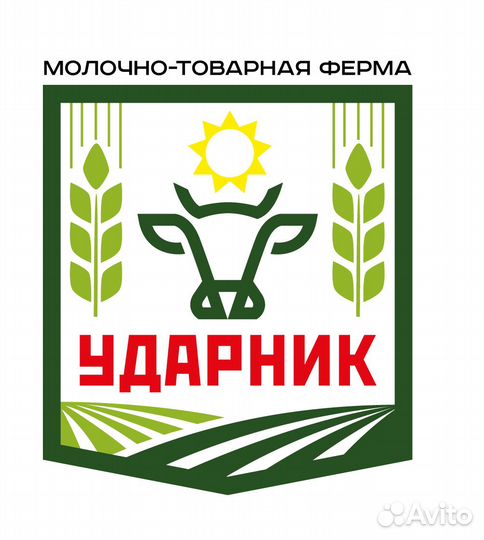 Ветеринарный санитар