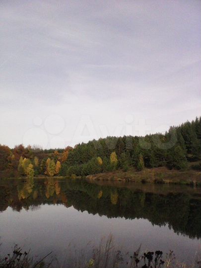 Дом 45 м² на участке 8,5 сот.