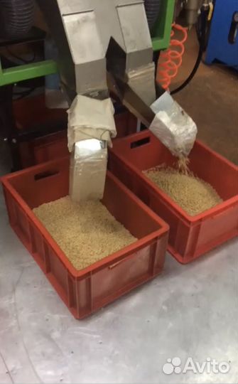 Кедровый орех. Ядро. 2023. Переработан март 2024