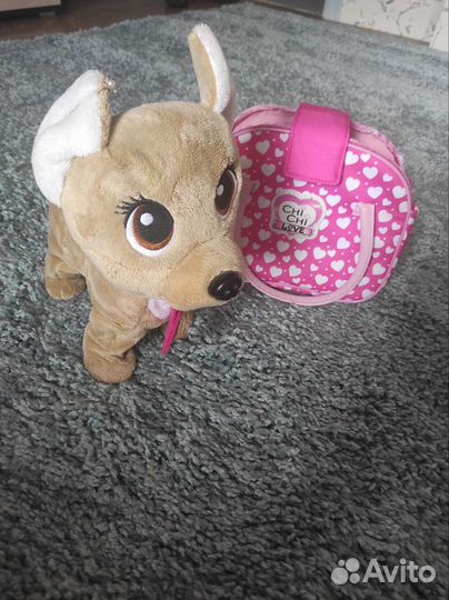 Собака chi chi love
