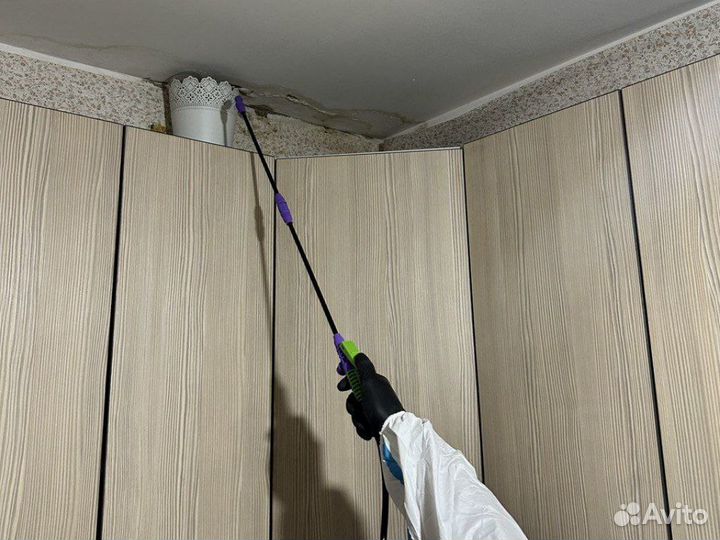 Уничтожение тараканов, насекомых, запахов, быстро