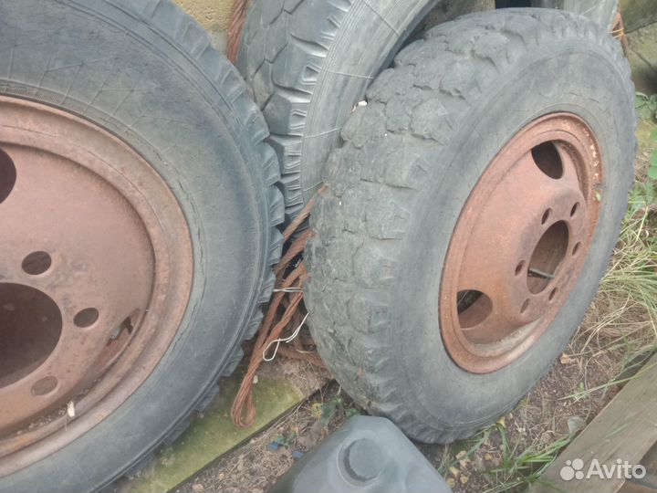 Камера газ 53