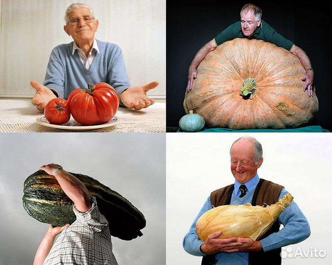 Биогумус, свое производство