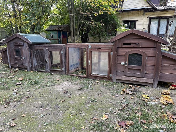 Курятник зимний