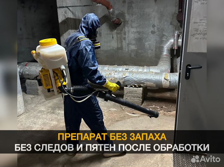 Уничтожение тараканов, клопов, крыс. Дезинфекция