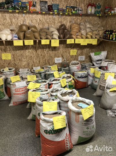 Горох кормовой цельный