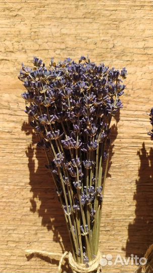 Лаванда сухоцвет 2023