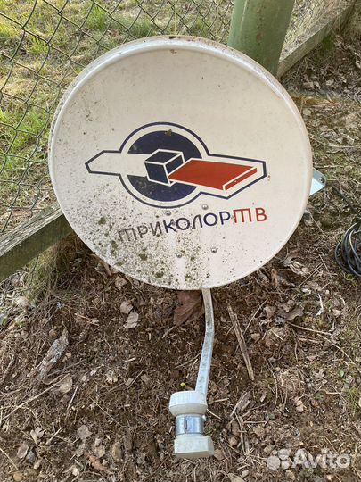 Тарелка триколор