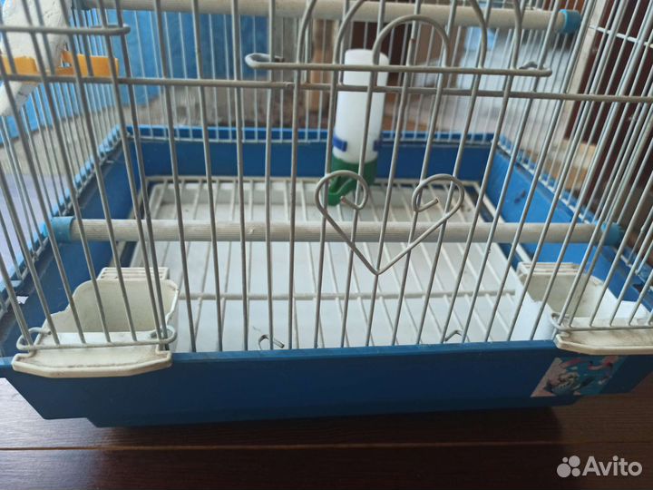Клетка