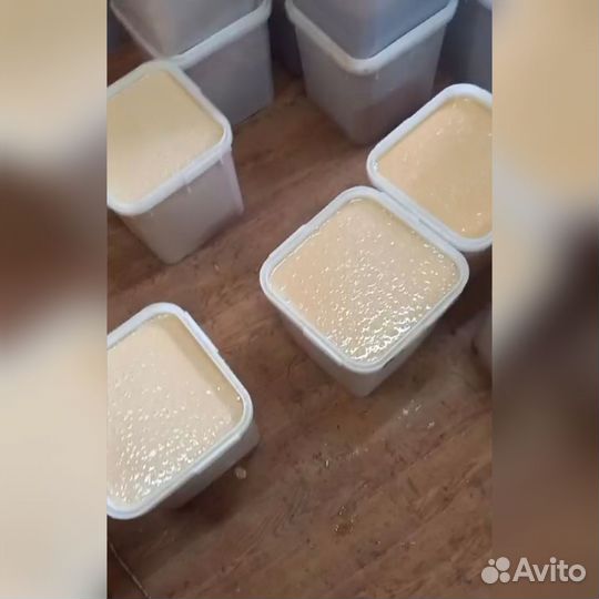 Мёд\мед/донник