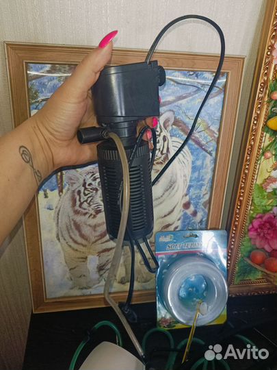 Для аквариума