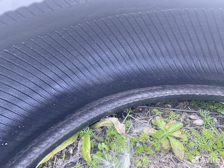 Gislaved Frost 195/65 R15