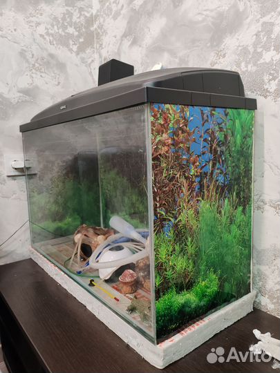 Аквариум 140л