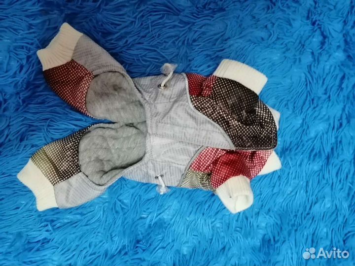 Комбинезон на весну для мини пород