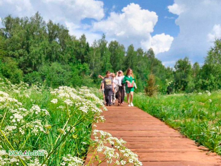 Участок 6,1 сот. (СНТ, ДНП)