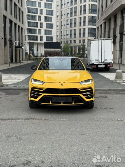 Lamborghini Urus 4.0 AT, 2021, 33 000 км