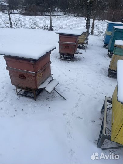 Ульи для пчел